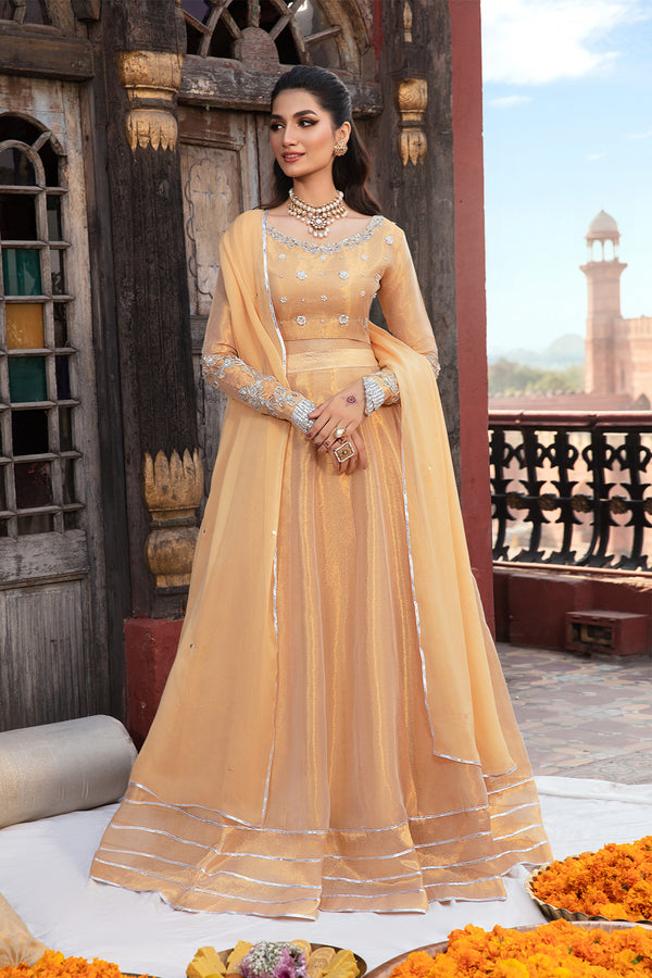 MYSTIC – 3PC TIUSSE & CHIFFON WEDDING FESTIVE PRET