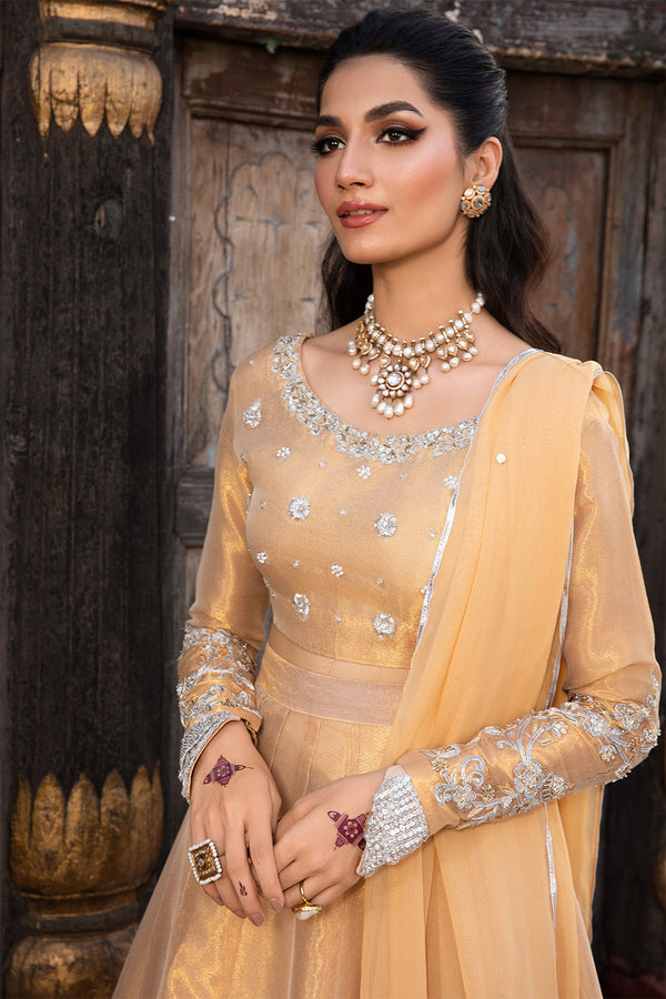 MYSTIC – 3PC TIUSSE & CHIFFON WEDDING FESTIVE PRET