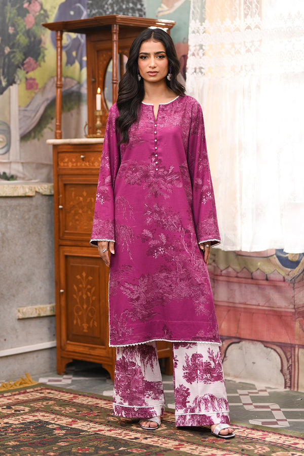 Printed - 2 Pc Khaddar Suit (Stitched)