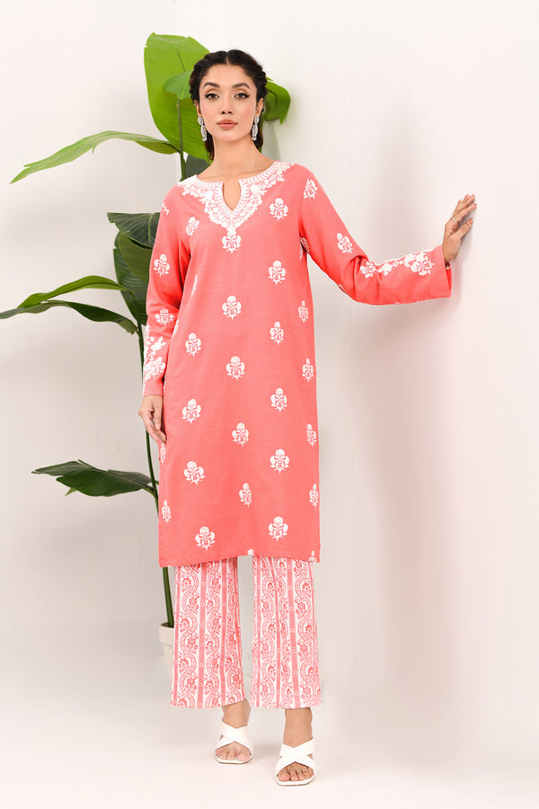 Embroidered - 2 Pc Khaddar Suit (Stitched)